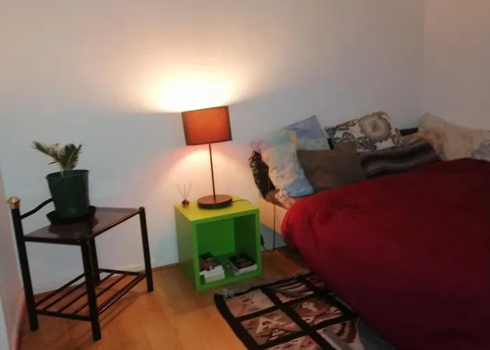 Plein Centre Quarto em Acomodações Particulares